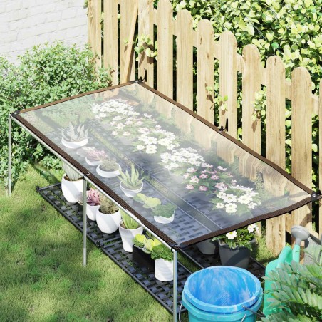 Couverture pour plantes Transparent 2,5 x 1 m PE 623014623014