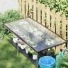 Couverture pour plantes Transparent 2,5 x 1 m PE 623014623014