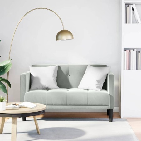 Canapé deux places gris clair 111 cm velours 623117623117