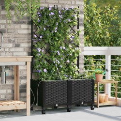 Porte-plante de jardin avec irrigation et roues 2 pc Noir PP 623193623193