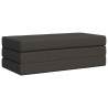 Canapé-lit pliable 160 x 67 x 45 cm Gris foncé 623247623247
