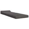 Canapé-lit pliable Gris foncé 200 x 70 x 10 cm Velours 623268623268