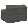 Canapé-lit pliable Gris foncé 200 x 70 x 10 cm Velours 623268623268
