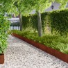Bordure de Pelouse 10 pcs 103 x 25 cm Acier Rouillé 623316623316
