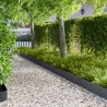 Bordure de Pelouse 20 pcs 103 x 20 cm Acier Anthracite 623417623417
