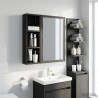 Armoire murale de salle de bain Chêne Noir 20 x 10 x 60,5 cm 623445623445