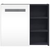 Armoire de salle de bain à miroir avec LED gris 60x13x52 cm 623523623523