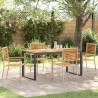 Ensemble de salle à manger pour jardin 5 pcs Beige et Marron 623585623585