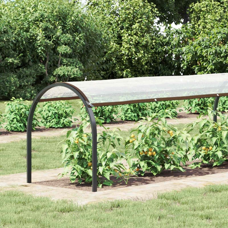 Couverture pour plantes Transparent 2 x 1,5 m PE 623603623603