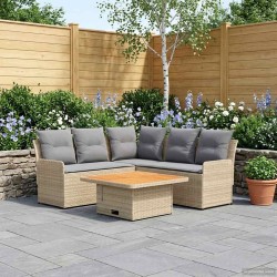 Ensembles de meubles 4 pcs Beige et Gris clair Rotin PE 623604623604