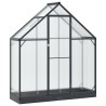 Serre de jardin avec porte Anthracite 183,5 x 63,5 x 207 cm 623838623838