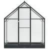Serre de jardin avec porte Anthracite 183,5 x 63,5 x 207 cm 623838623838