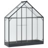 Serre de jardin avec porte Anthracite 183,5 x 63,5 x 207 cm 623838623838