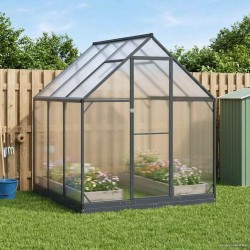 Serre de jardin avec porte Anthracite 183,5 x 183,5 x 207 cm 623839623839