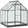 Serre de jardin avec porte Anthracite 183,5 x 183,5 x 207 cm 623839623839