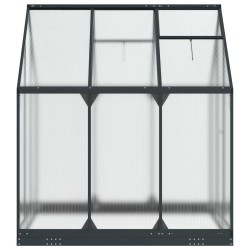 Serre de jardin avec porte Anthracite 183,5 x 183,5 x 207 cm 623839623839