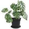 Pots de plantes 6 pcs Noir Ø 15 x 12 cm Plastique 623844623844