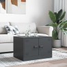 Table basse anthracite 67x50x44 cm acier 623902623902