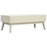 Table basse avec 2 tiroirs Gris sculpté 110x50x40 cm Bois 623984623984