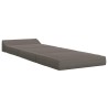 Canapé-lit pliable Gris clair 200 x 70 x 10 cm 624206624206