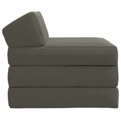 Canapé-lit pliable Gris clair 200 x 70 x 10 cm 624206624206