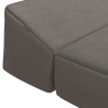 Canapé-lit pliable Gris clair 200 x 70 x 10 cm 624206624206
