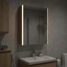 Armoire Miroir de Salle de Bain Chêne Sonoma 624251624251