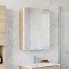 Armoire Miroir de Salle de Bain Chêne Sonoma 624251624251
