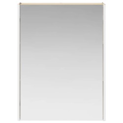 Armoire Miroir de Salle de Bain Chêne Sonoma 624251624251