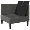Sofa avec rangement Gris foncé Velours 624262624262