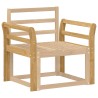 Module d'accoudoirs 2 pcs Blanc 58,5 x 8,5 x 60 cm 624511624511