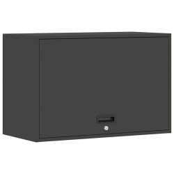 Armoire murale pour garage Noir 80 x 40 x 53 cm 624647624647