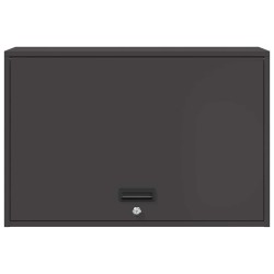 Armoire murale pour garage Noir 80 x 40 x 53 cm 624647624647