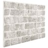 Panneaux muraux 10 pcs Gris clair 100 x 50 cm Mousse EPS 624664624664