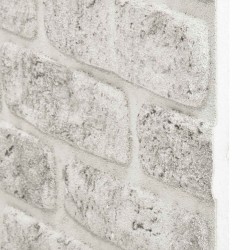 Panneaux muraux 10 pcs Gris clair 100 x 50 cm Mousse EPS 624664624664