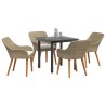 Ensemble de salle à manger pour jardin 5 pcs Beige polyrotin 624828624828