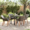 Ensemble de salle à manger pour jardin 5 pcs Gris polyrotin 624894624894