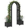 Arc à Roses avec Jardinière Anthracite 168,5 x 43 x 207 cm PP 624908624908