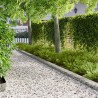 Bordure de Pelouse 10 pcs 103 x 15 cm Acier Argenté 625054625054