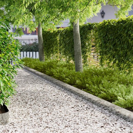 Bordure de Pelouse 10 pcs 100 x 20 cm Acier Argenté 625085625085