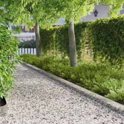 Bordure de Pelouse 10 pcs 103 x 15 cm Acier Argenté 625086625086