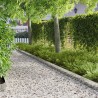 Bordure de Pelouse 10 pcs 103 x 15 cm Acier Argenté 625086625086