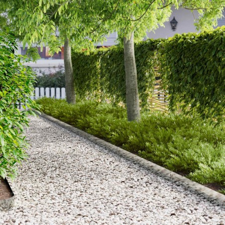 Bordure de Pelouse 10 pcs 100 x 15 cm Acier Argenté 625100625100