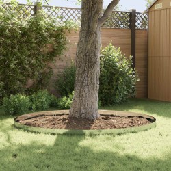 Bordure de Pelouse 10 pcs 100 x 15 cm Acier Argenté 625100625100