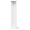 Support de Plante 2 pcs Blanc 25 x 25,5 x 100,5 cm 625688625688