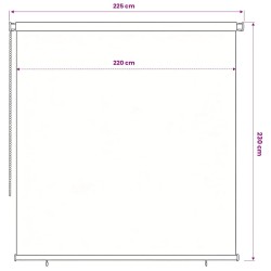 Store roulant d'extérieur 225 (l) x 230 (H) cm marron HDPE 625693625693