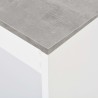 Table de bar avec étagère Blanc 110x50x103 cm 625727625727