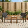 Chaises de jardin 2 pcs Noir et anthracite 53,5 x 59 x 77 cm 625785625785