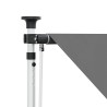 Auvent rétractable manuel Gris clair 250 cm 625814625814