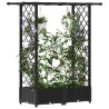 Lit Élevé avec Treillis et Toit Noir 122,5 x 40 x 121 cm PP 625873625873